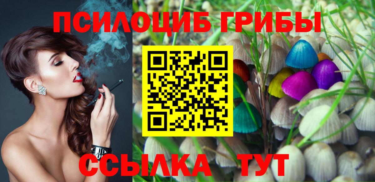 Новодвинск  Галлюциногенные грибы Psilocybine cubensis  Вход с VPN  Галлюциногенные грибы MAGIC MUSHROOMS 