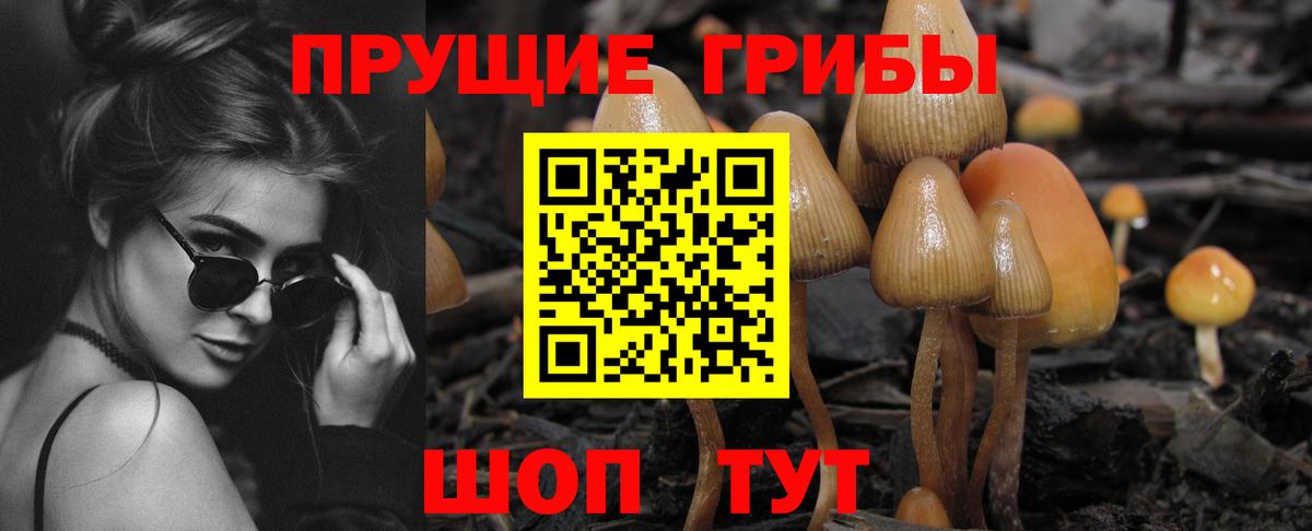 Псилоцибиновые грибы мухоморы Новодвинск